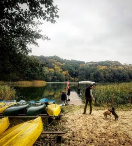 Małgorzata Rozenek Majdan