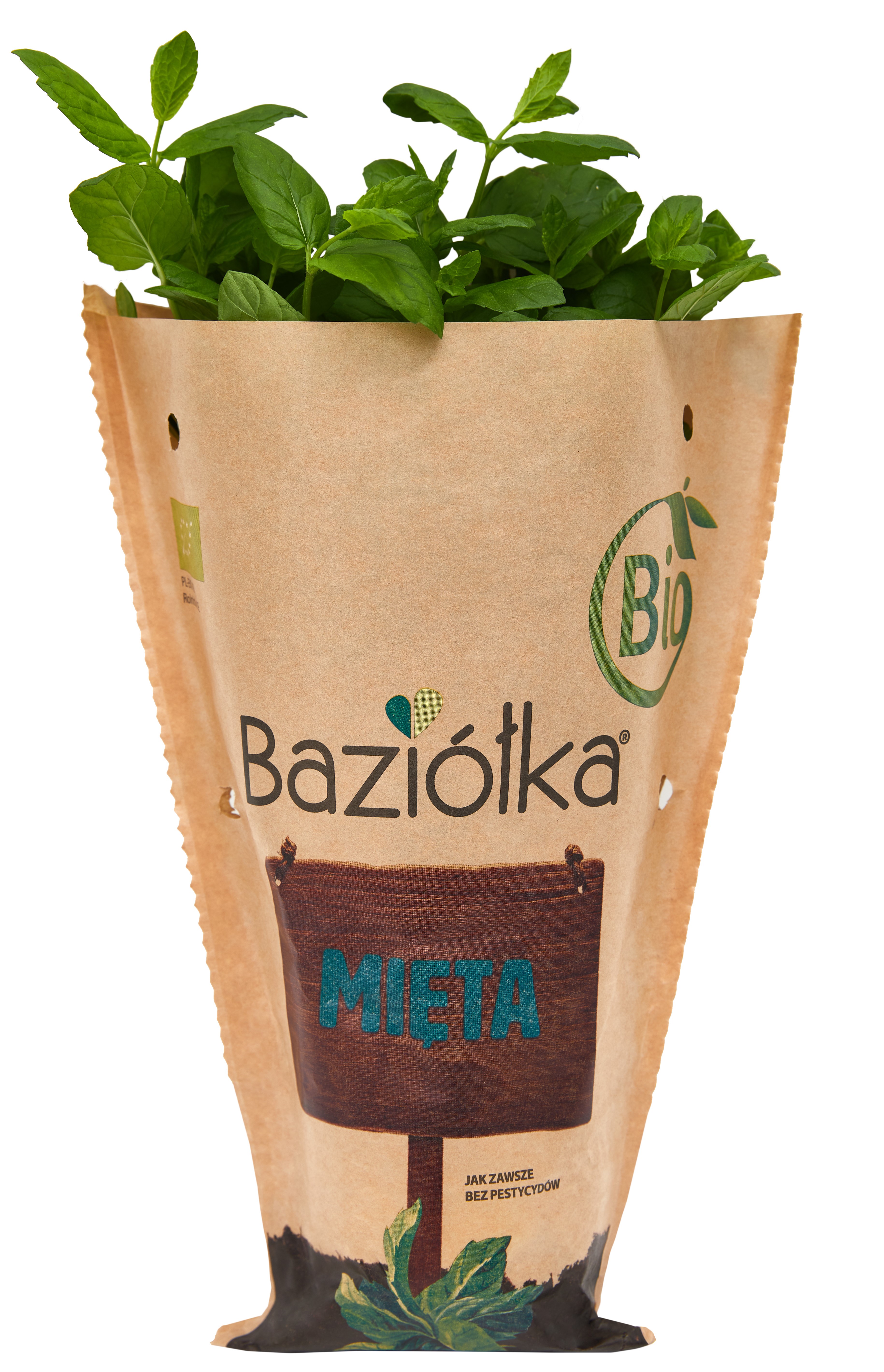 Baziółka po raz kolejny w Influencer's Top 2020 Baziółka po raz kolejny w Influencer's Top 2020